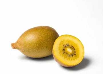 Actinidia Deliciosa Golden Kiwi / Sárga húsú Kivi
