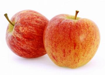 Malus domestica Royal Gala (Tenroy) / Gála alma