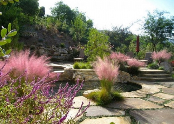Muhlenbergia capillaris Pink Cloud / Muhlenberg fű