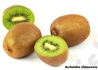 Kép 1/3 - Actinidia chinensis Hayvard Kiwi / Termős Kivi