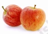 Kép 1/2 - Malus domestica Royal Gala (Tenroy) / Gála alma