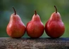Kép 1/3 - Pyrus communis red williams / Piros Vilmos körte