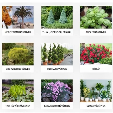 További kategóriák