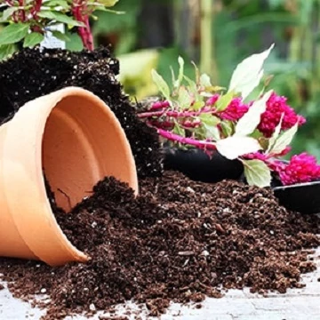 Kiegészítő termékek